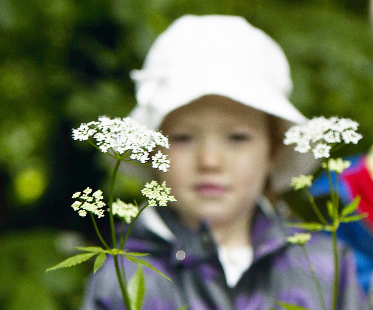 Pige og blomster