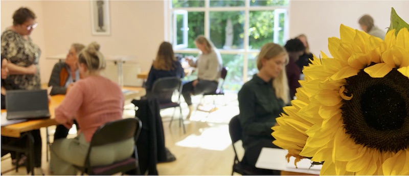 Opkvalificering i Steinerpaed.