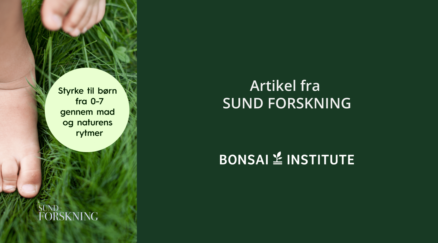 Blog billeder