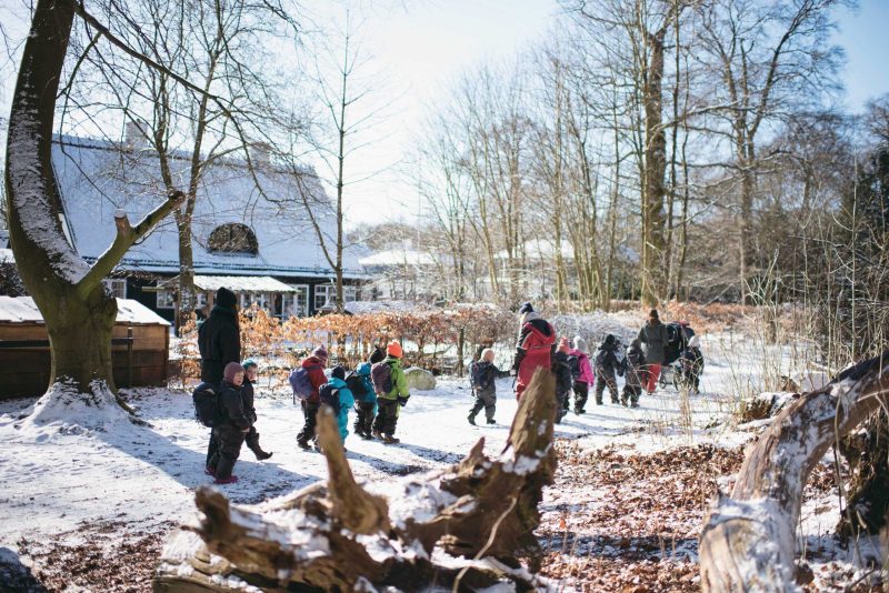 Mindfulness naturen med boern scaled
