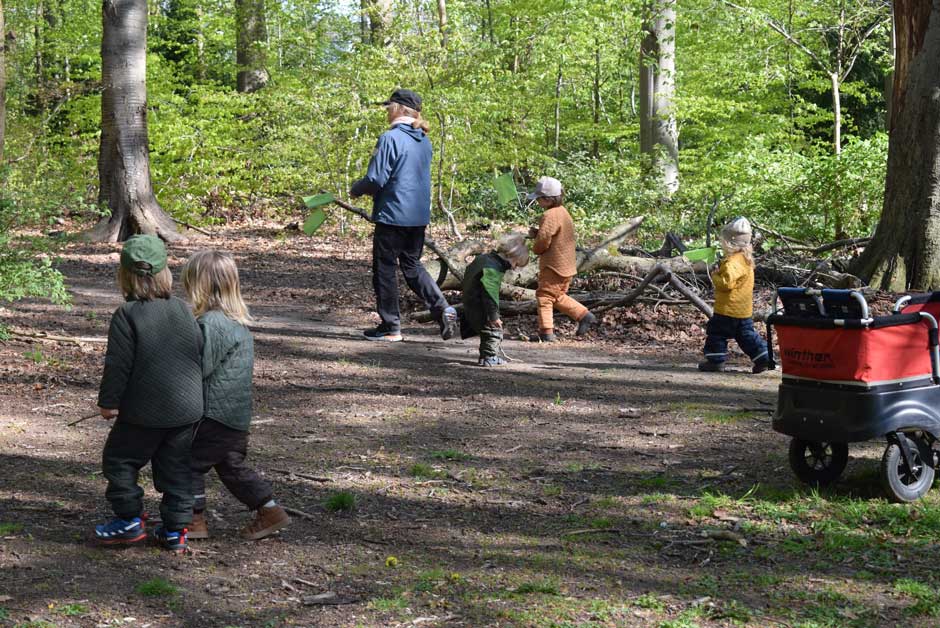 Besoeg Boerneoeen Bonsai og faa en tur i skoven