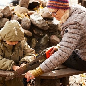 Opkvalificering Steinerpaedagogik 2025 800x600