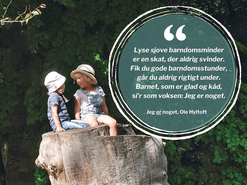 Citat fra Jeg er noget, Ole Hyltoft 800x600